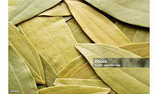 Natural bay leaves