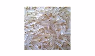 rice 1121 sella