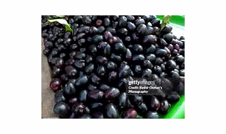 JAMUN FRUITS