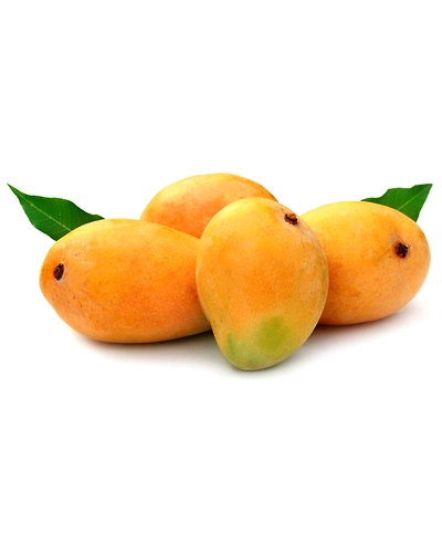MANGO-12087054