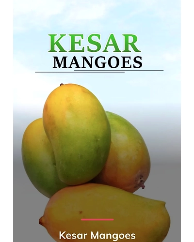 MANGO-3