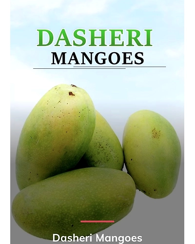 MANGO-2