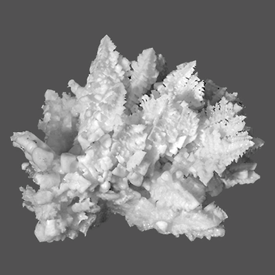 STPP-12066564