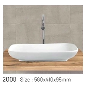 2008 MODEL