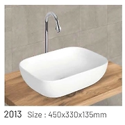 2013 MODEL