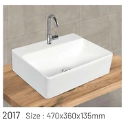 2017 MODEL