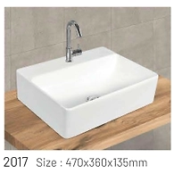 2017 MODEL