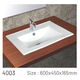 4003 Wash basin