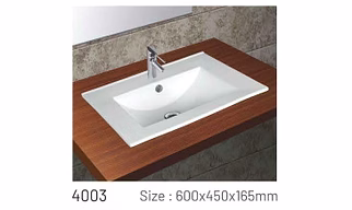 4003 Wash basin