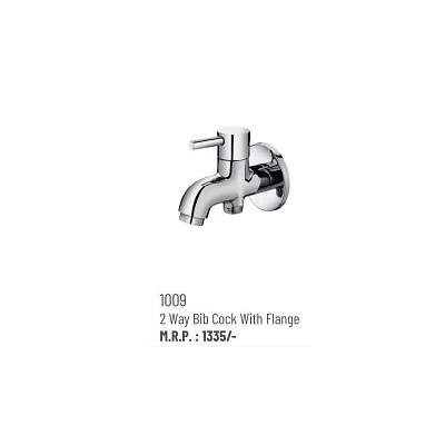 1009 faucet
