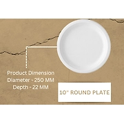 10" ROUND PLATE