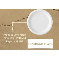 10" ROUND PLATE