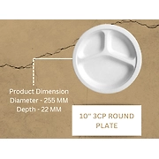 10" 3CP ROUND PLATE