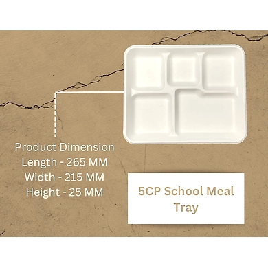 5CP SCHOOL MEAL TRAY-12158458