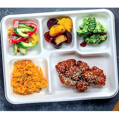 5CP SCHOOL MEAL TRAY-1