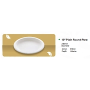 10 " PLAIN ROUND PLATE