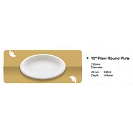 10 " PLAIN ROUND PLATE