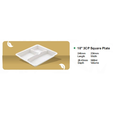 10&quot; 3CP SQUARE PLATE-12160346