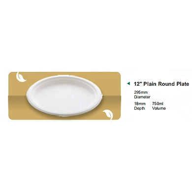 12&quot; PLAIN ROUND PLATE-12160362