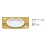 12" PLAIN ROUND PLATE