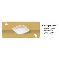 7" SQUARE PLATE