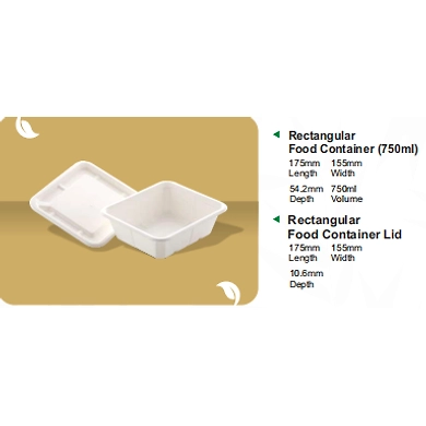 RECTANGULAR-12160444