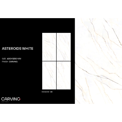 ASTEROIDS WHITE-2