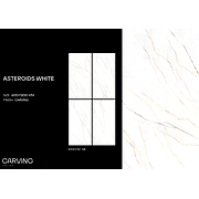 ASTEROIDS WHITE
