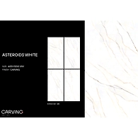 ASTEROIDS WHITE