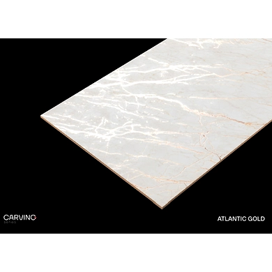 ATLANTIC GOLD-12162276
