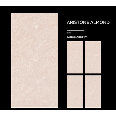 ARISTONE ALMOND-12164466