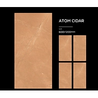 ATOM CIDAR