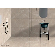 CARTIAN BEIGE