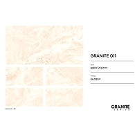 GRANITE 011