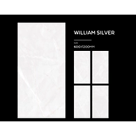 WILLIAM SILVER &amp; GREY