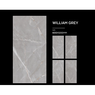 WILLIAM SILVER &amp; GREY-2