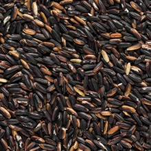 Organic Black Rice-b440d882d9fa442d