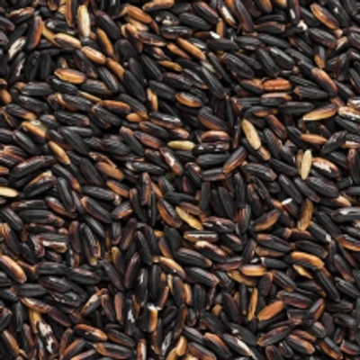 Organic Black Rice