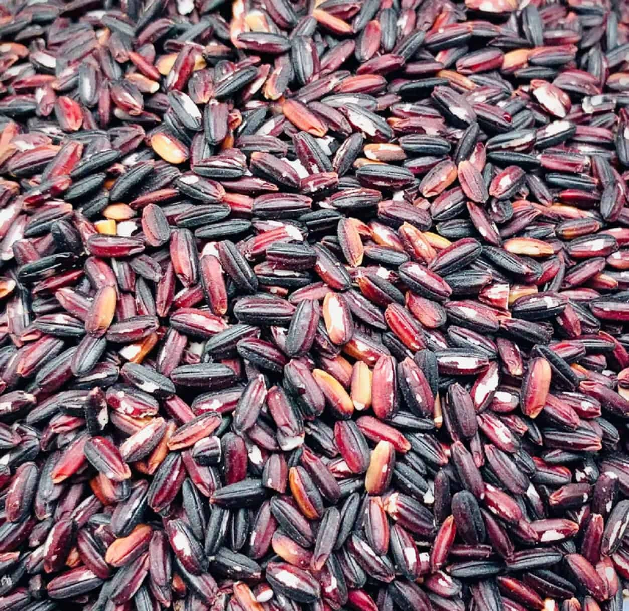 Organic Black Rice-1