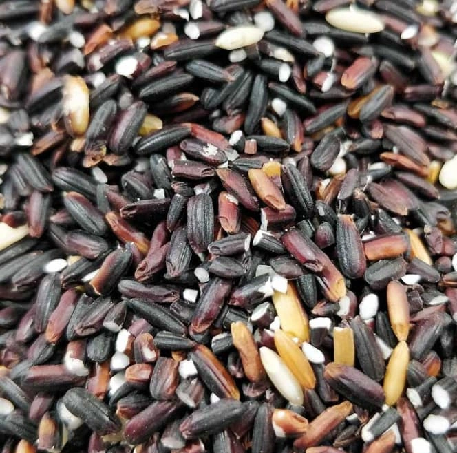 Organic Black Rice-2