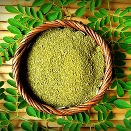 shanta farms moringa powder