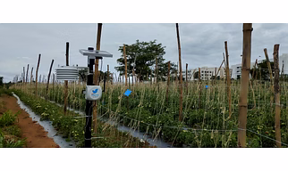 Yuktix GidaBits Soil Sensor Node  - Optimize Water used in Irrigation.