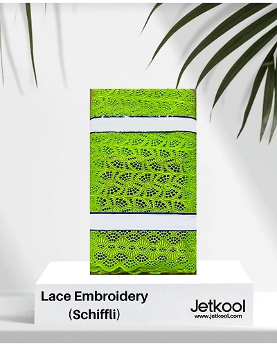 Lace Embroidery-12228820