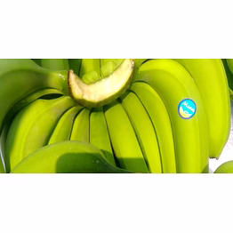 meem banana banana