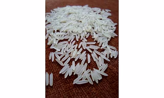 Basmati Rice