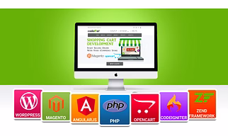 Website Development