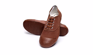 SCHOOL BIRDS Tennis Shoe for Adult Boys and Girls | PT Canvas Uniform School Shoe