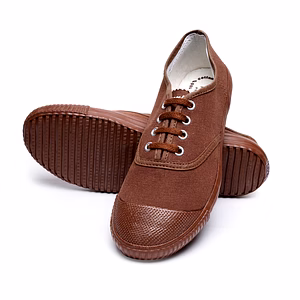 SCHOOL BIRDS Tennis Shoe for Adult Boys and Girls | PT Canvas Uniform School Shoe