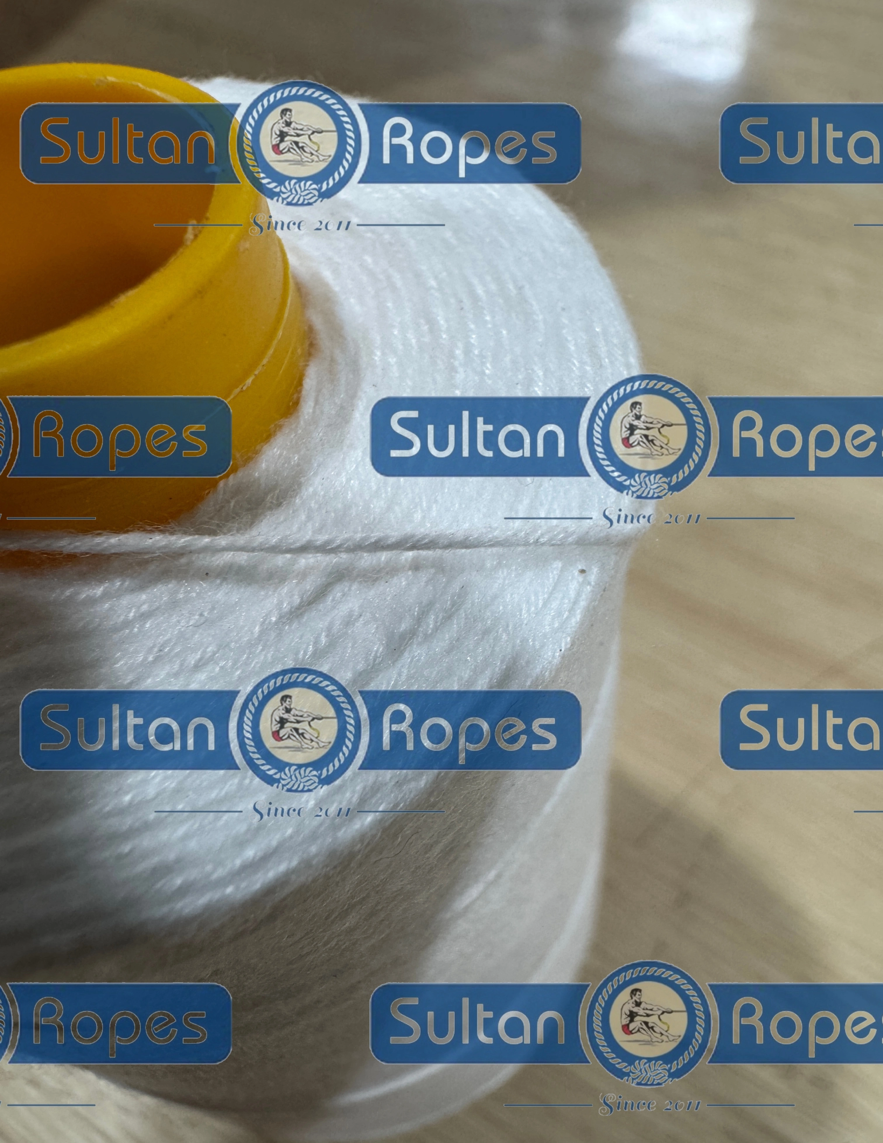 Spun Polyester Sewing Thread for Bag Closing-12640855