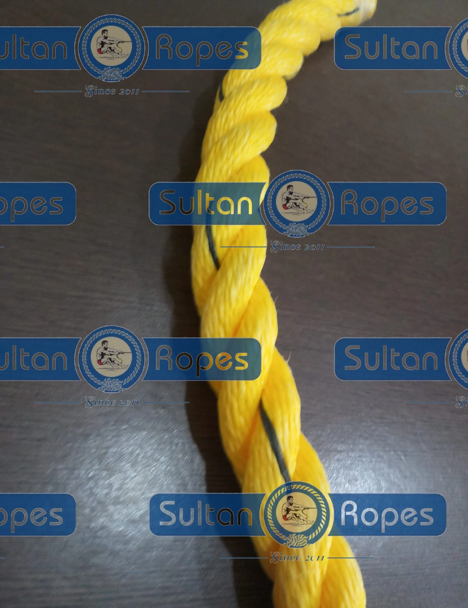 Yellow PP Danline Rope-2